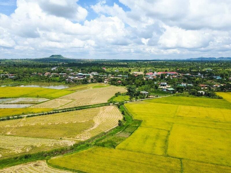 Cánh đồng lúa mênh mông tại xã Nam Đà (Ảnh: Cổng TTĐT Lâm Đồng)