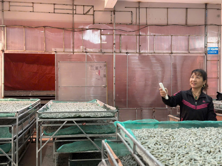 Chủ cơ sở đã đầu tư 2 máy điều hòa 2 chiều có công suất 900 BTU, lắp đặt thêm thiết bị đo nhiệt độ, độ ẩm để luôn kiểm soát nhiệt độ phù hợp cho tằm sinh trưởng. z6789395449912-c991dc2e3e809815ca10de8779ab0897.jpg