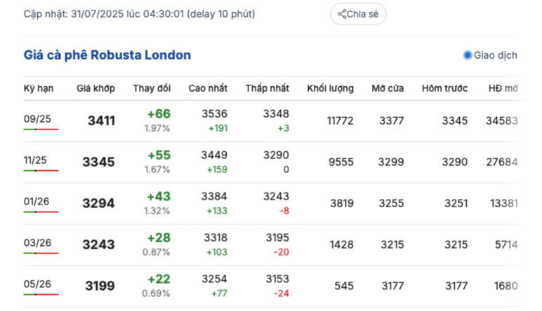 Giá cà phê Robusta London sáng ngày 31/7/2025