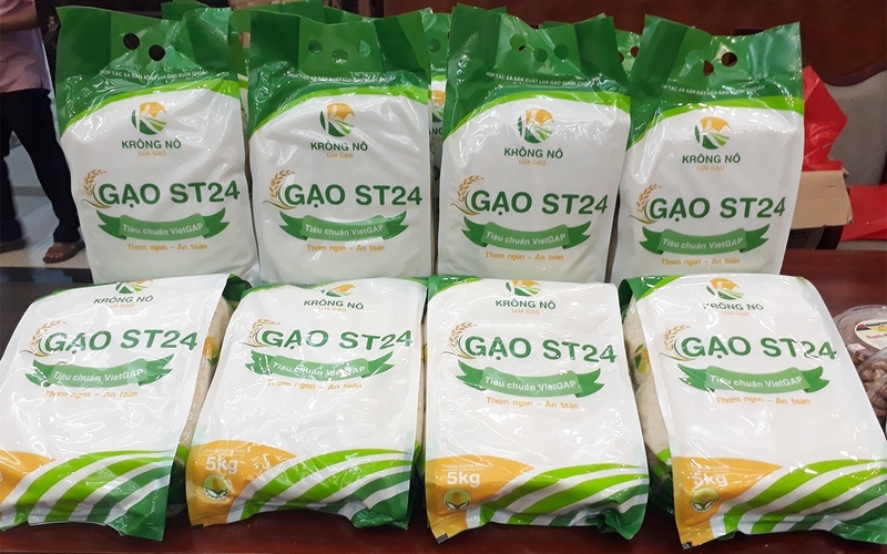 ST24 là 1 trong 2 loại gạo đặc sản được trồng tại đây