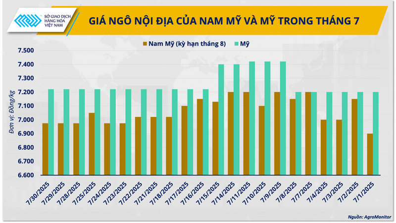 Giá ngô nội địa của Nam Mỹ và Mỹ trong tháng 7