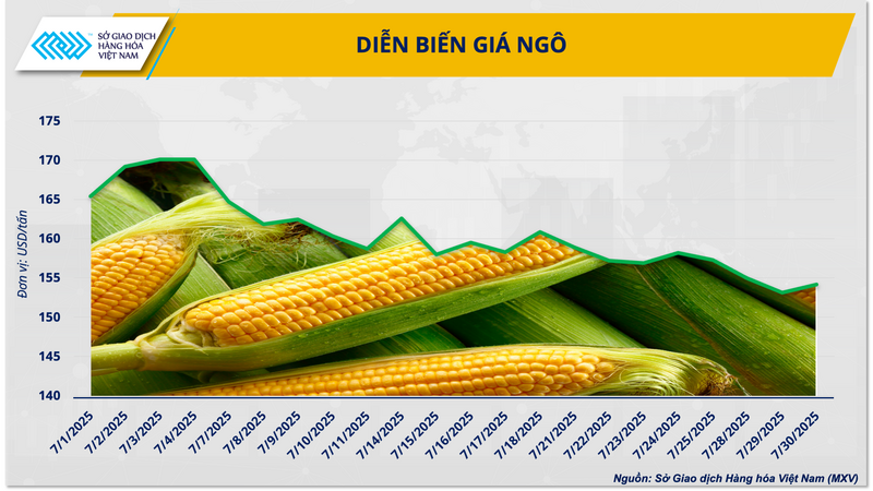 Biểu đồ diễn biến giá ngô thời gian qua
