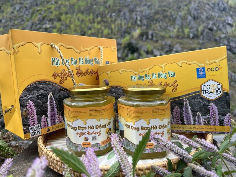 Mật ong bạc hà là một trong những đặc sản nổi tiếng của Tuyên Quang