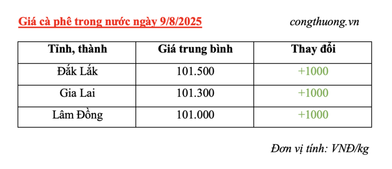 Bảng giá cà phê trong nước sáng ngày 9/8/2025