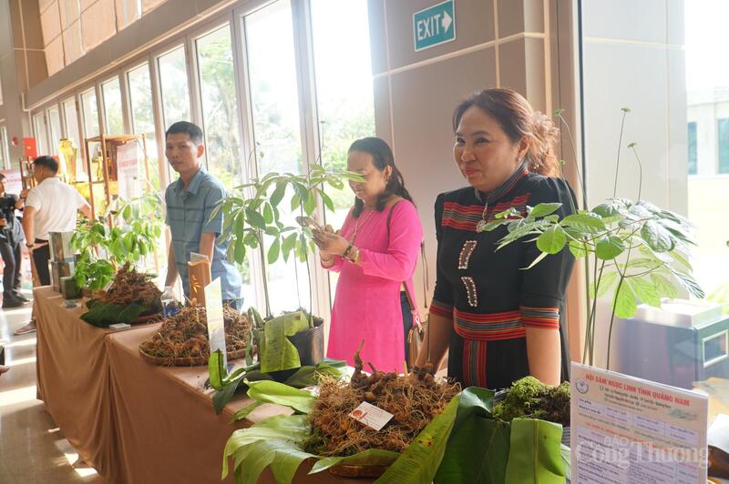 Cần tăng thêm các hoạt động xúc tiến thương mại cho sản phẩm sâm Ngọc Linh