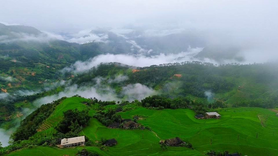 Mùa lúa xanh (khoảng tháng 7 - 8), những thửa ruộng được phủ một màu xanh non mơn mởn, trải dài bất tận, mang lại cảm giác bình yên và tươi mới. (Ảnh: Định Đặng). 1000040031.jpg