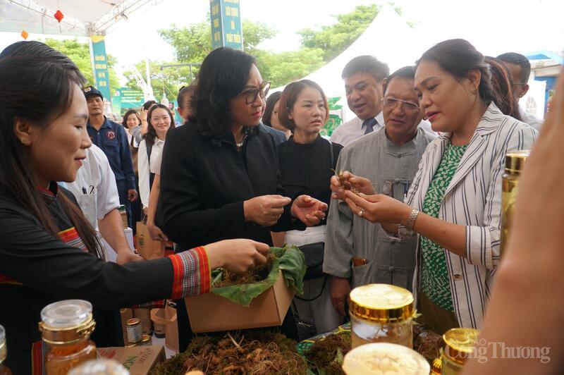 Quảng bá, giới thiệu sản phẩm sâm Ngọc Linh tại chương trình xúc tiến thương mại, xuất nhập khẩu khu vực miền Trung