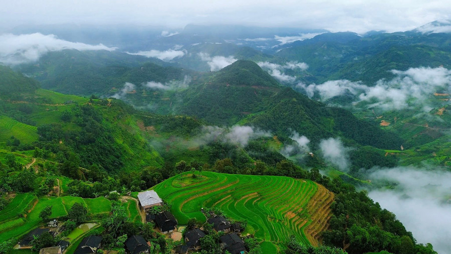 Ruộng bậc thang ở Bản Phùng không chỉ có diện tích rộng lớn mà còn nằm trên những sườn đồi dốc đứng, tạo nên một bức tranh thiên nhiên vô cùng ấn tượng. (Ảnh: Định Đặng). 1000040027.jpg