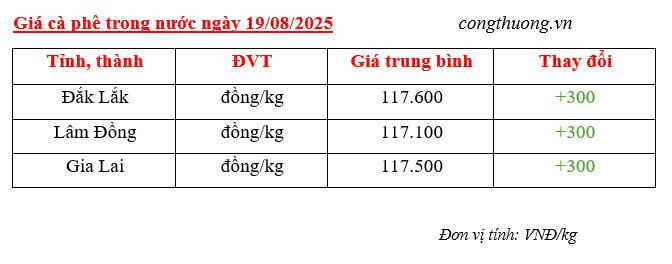 Bảng giá cà phê trong nước sáng ngày 19/8/2025