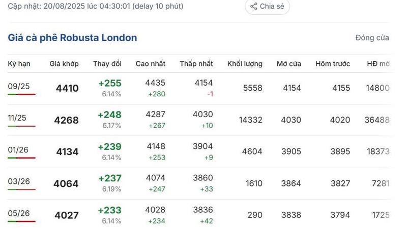 Giá cà phê Robusta London sáng ngày 20/8/2025
