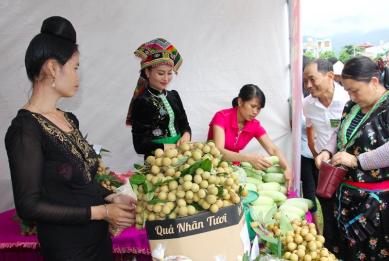 Sơn La tích cực quảng bá nông sản cho người dân, trong đó có không ít đồng bào dân tộc thiểu số. Ảnh minh hoạ