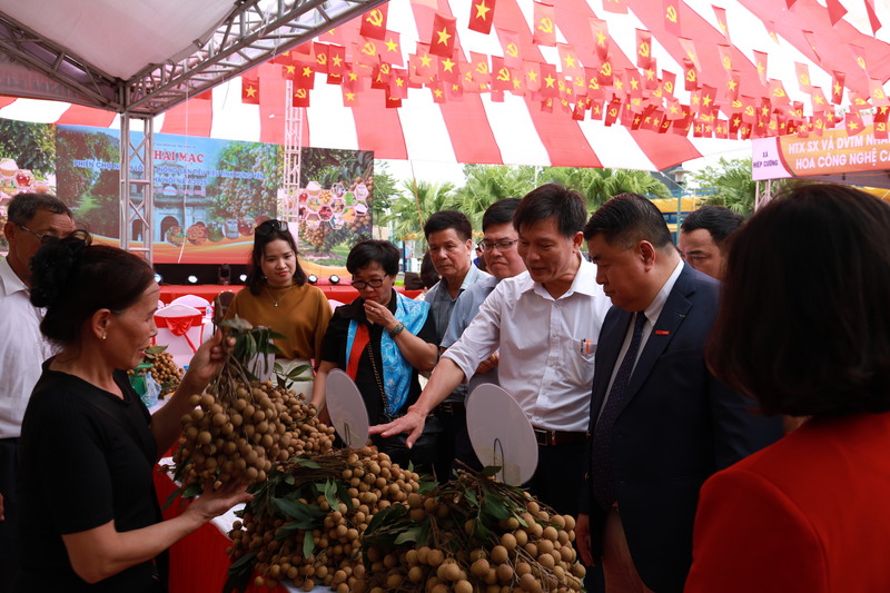 Phiên chợ nhãn lồng Hưng Yên 2025: Quảng bá đặc sản tiến vua tại Thủ đô - 4