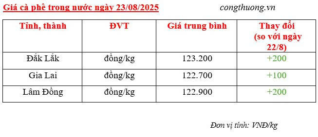 Bảng giá cà phê trong nước sáng ngày 23/8/2025