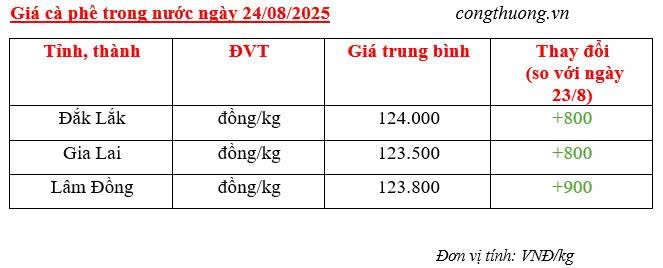 Bảng giá cà phê trong nước sáng ngày 24/8/2025