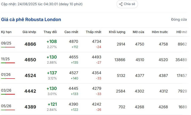 Giá cà phê Robusta London sáng ngày 24/8/2025