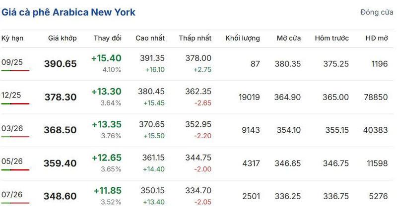 Giá cà phê Arabica New York sáng ngày 24/8/2025
