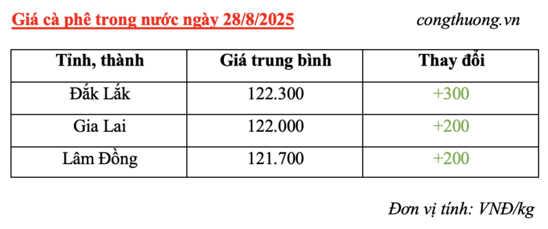 Bảng giá cà phê trong nước sáng ngày 28/8/2025