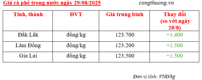 Bảng giá cà phê trong nước sáng ngày 29/8/2025