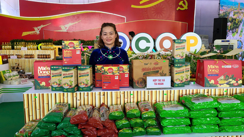 Chị Lê Thị Lưu, Phó Giám đốc Hợp tác xã Miến dong Tài Hoan. Ảnh: Ngọc Tiến