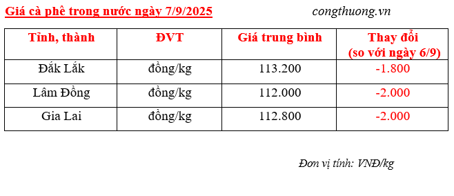 Bảng giá cà phê trong nước sáng ngày 7/9/2025