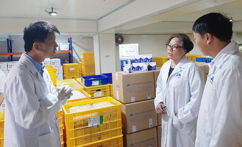 340.000 liều vaccine AVAC ASF LIVE được xuất khẩu sang thị trường Philippines. Ảnh: Nguyễn Hạnh