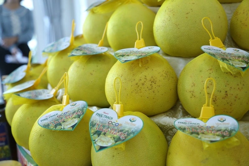 Hà Tĩnh: Xúc tiến thương mại bưởi Phúc Trạch đạt chuẩn hữu cơ - 3