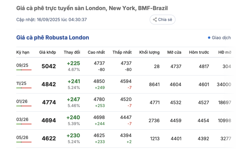 Giá cà phê Robusta London sáng nay 16/9