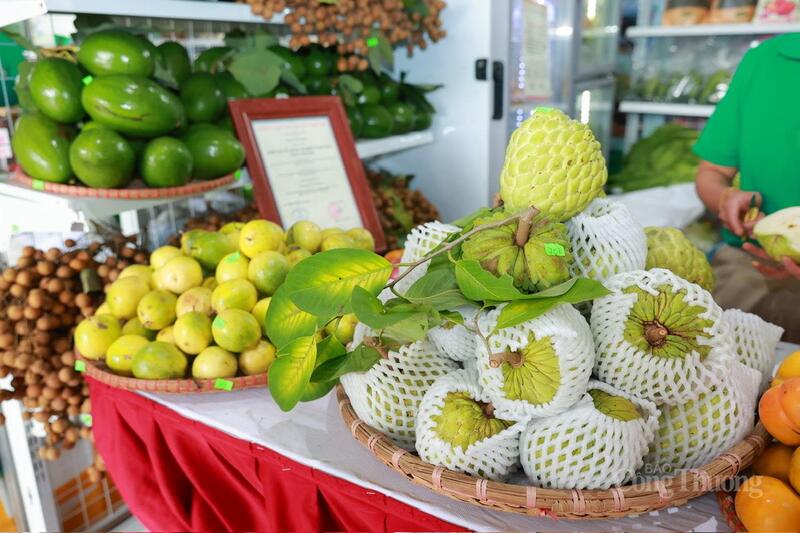 Một số loại nông sản được tuyển chọn tại Phiên chợ nông sản, đặc sản vùng miền 2025. Ảnh: Quỳnh Trang