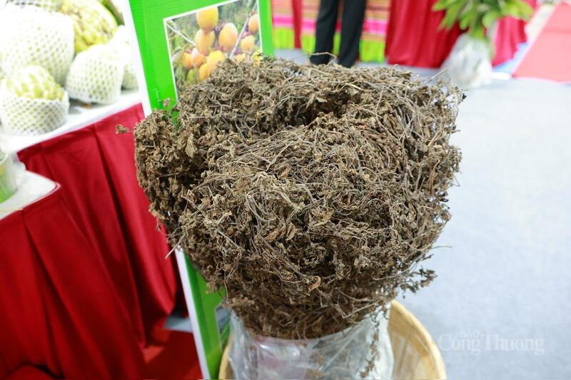 Phiên chợ nông sản, đặc sản vùng miền 2025: Góp phần lan tỏa giá trị OCOP - 6