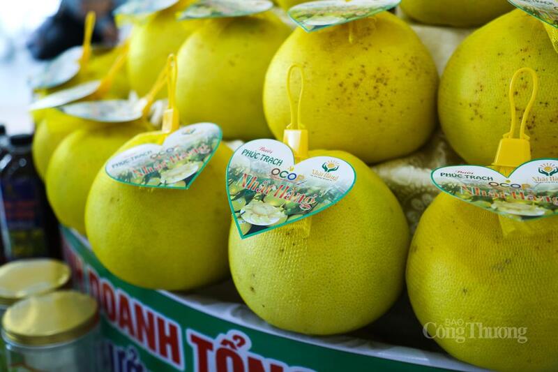 Sản phẩm của tỉnh Hà Tĩnh nâng cao chất lượng, mẫu mã, đảm bảo an toàn vệ sinh thực phẩm. Ảnh: Trọng Tùng