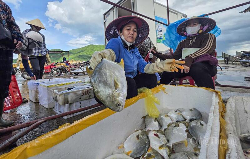 Giao thông đột phá, đặc sản Hà Tĩnh sẵn sàng ‘Bắc tiến’ - 2