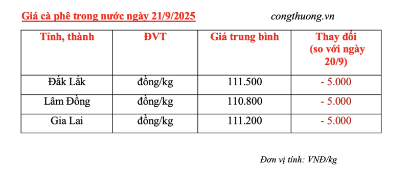Giá cà phê hôm nay 21/9/2025: Bất ngờ giảm sâu - 4