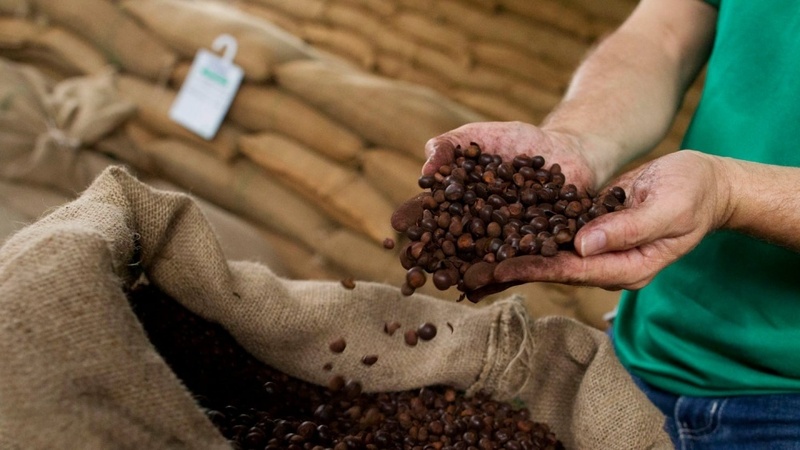 Cà phê chuỗi và cà phê hoà tan thu hút nhiều thực khách bởi tính tiện lợi.