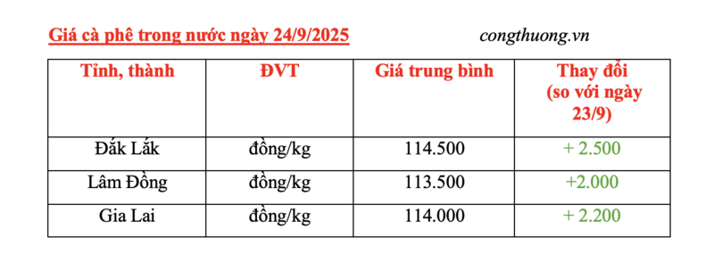 Giá cà phê hôm nay 24/9/2025: Trong nước tăng mạnh - 4