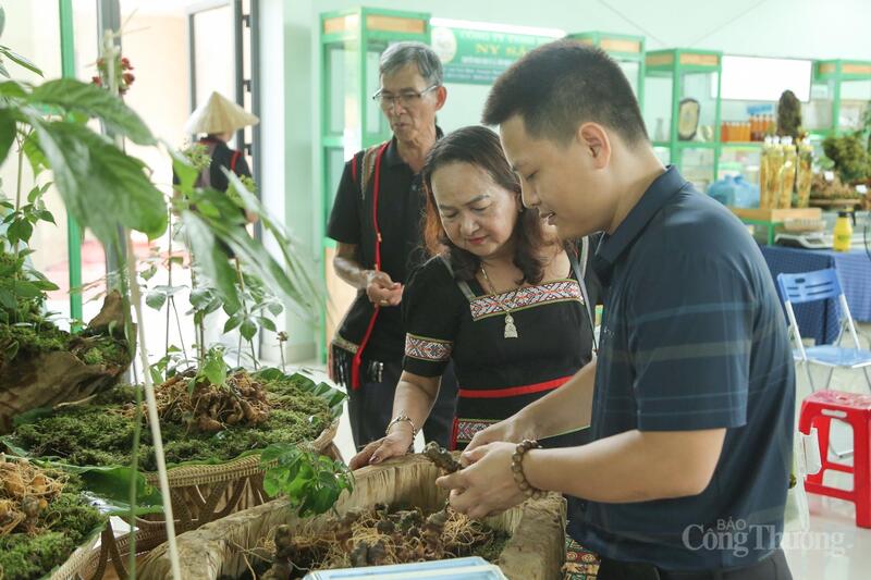 Du khách tham quan phiên chợ sâm Ngọc Linh