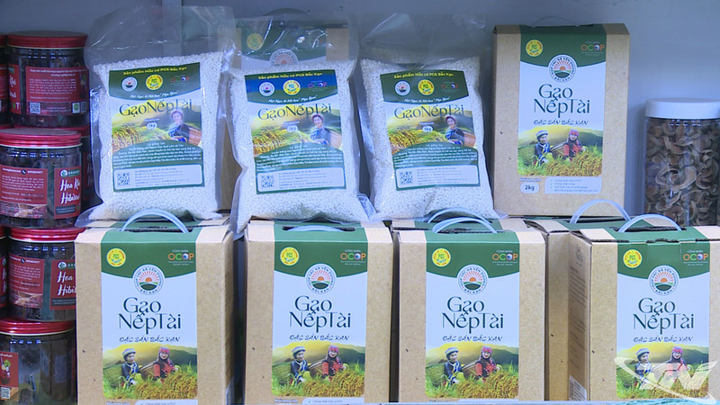Sản phẩm Nếp Tài đã được cấp chứng nhận hữu cơ trong nước