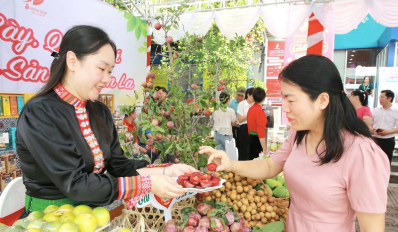 Quả mận hậu Sơn La vào hệ thống phân phối trong nước.