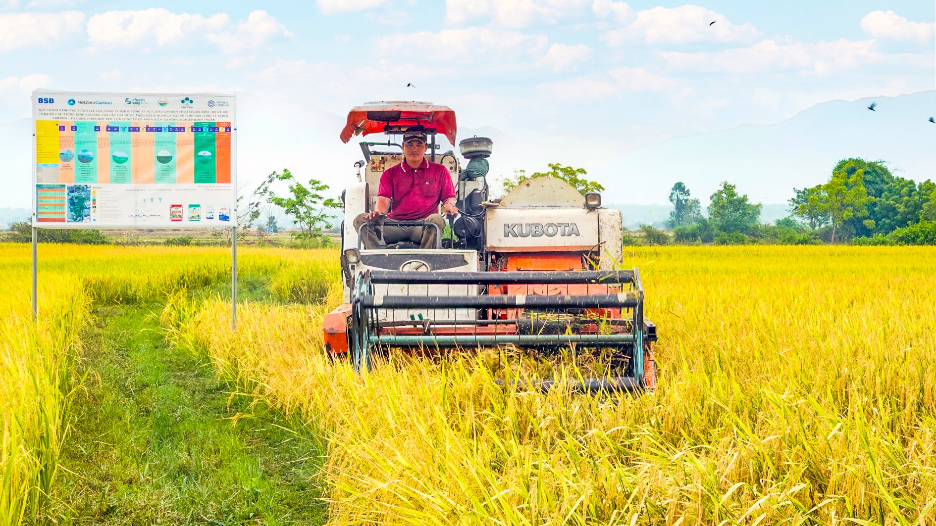Sản xuất lúa của đồng bào dân tộc thiểu số xã Bắc Bình, Lâm Đồng (ảnh N. Lân) (1)