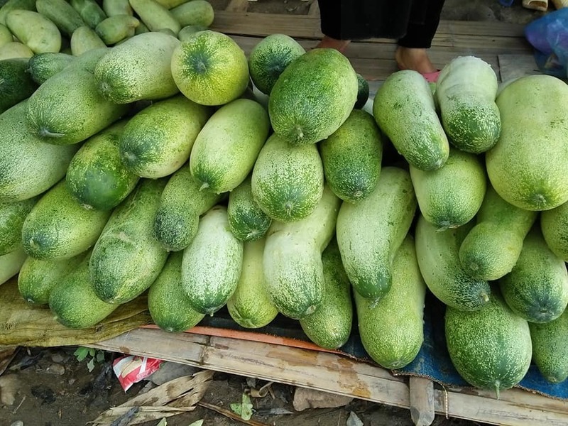 Dưa mèo ngày càng được người tiêu dùng ưa thích. Ảnh minh họa