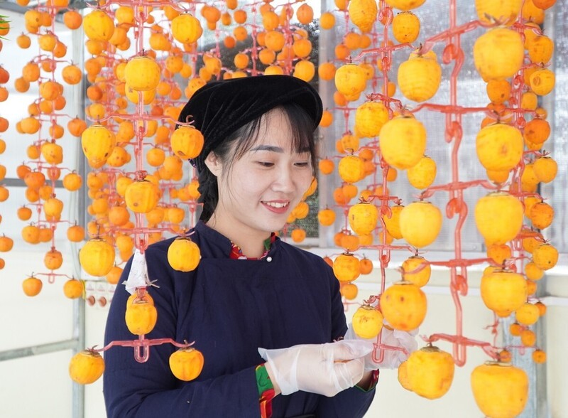 Chị Vương Thị Thương, đã khởi nghiệp thành công với hồng vành khuyên treo gió.