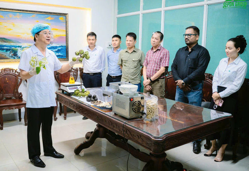 Giới thiệu về cây trẩu, hạt trẩu và ép dầu trẩu đối với hạt trẩu khô tại SEPON Group. Ảnh: Nguyễn Tuấn