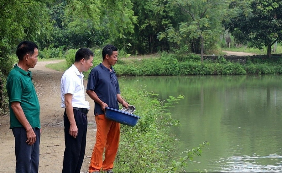 Anh Nguyễn Tiến Dũng (thứ 3 bên phải) bên hơn 3.600m2 ao thả cá.