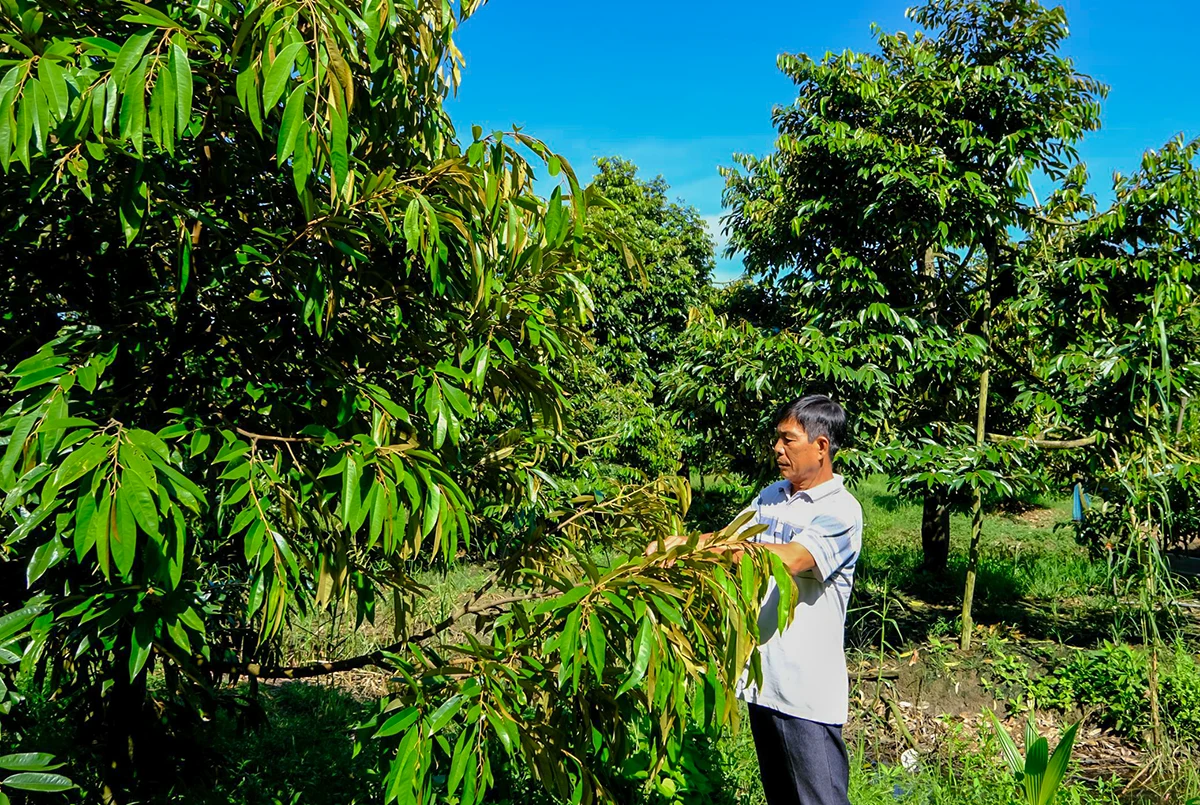 Huy động sức mạnh tổng hợp nâng chất nông thôn mới kiểu mẫu