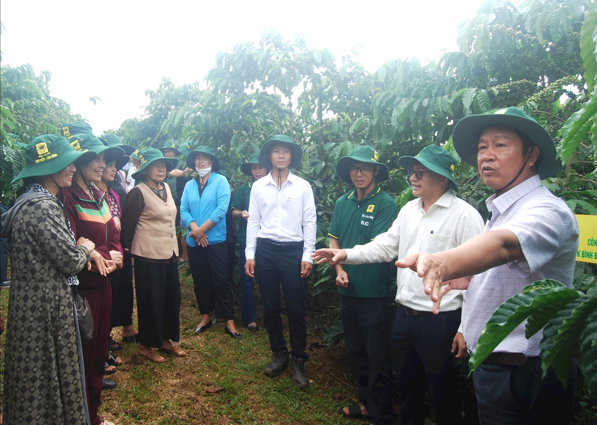 Đại biểu hội thảo tham quan mô hình nông hộ Nguyễn Nhật Quyền, xã Tân Hà Lâm Hà với diện tích canh tác cà phê thuần 1,5ha, ước đạt năng suất hơn 4 tấnha.