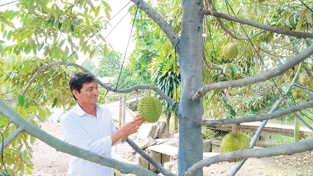 Gia tăng giá trị sản phẩm, phát triển nông nghiệp bền vững