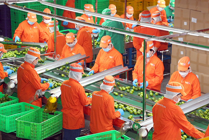 9 tháng năm 2025, số lượng cảnh báo từ EU với nông sản xuất khẩu của Việt Nam giảm 50%