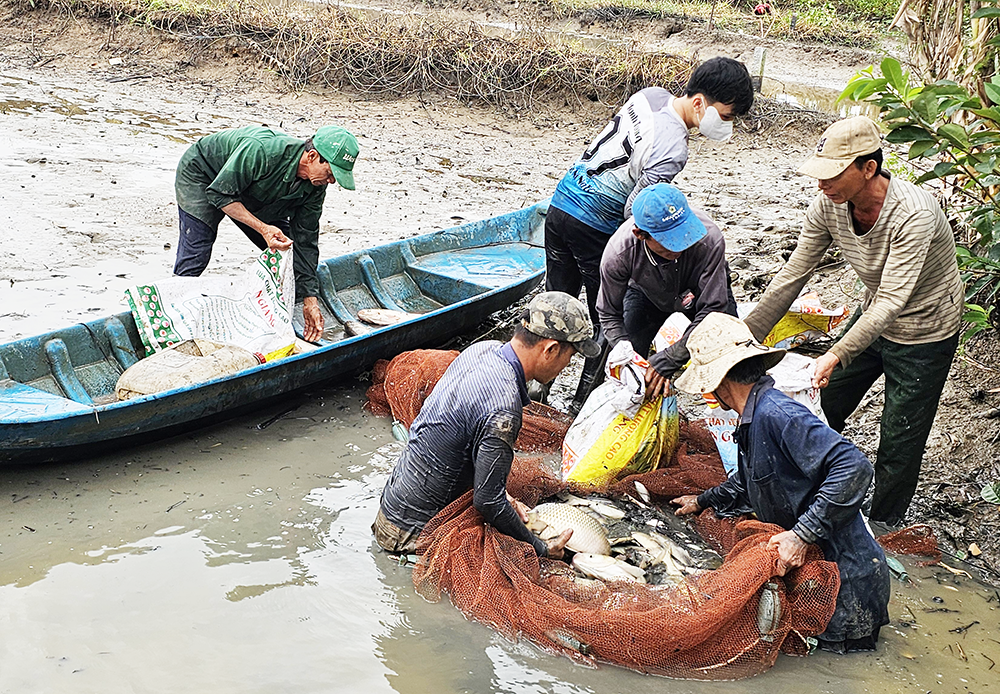 Phát triển ngành thủy sản theo hướng tăng trưởng xanh và bền vững