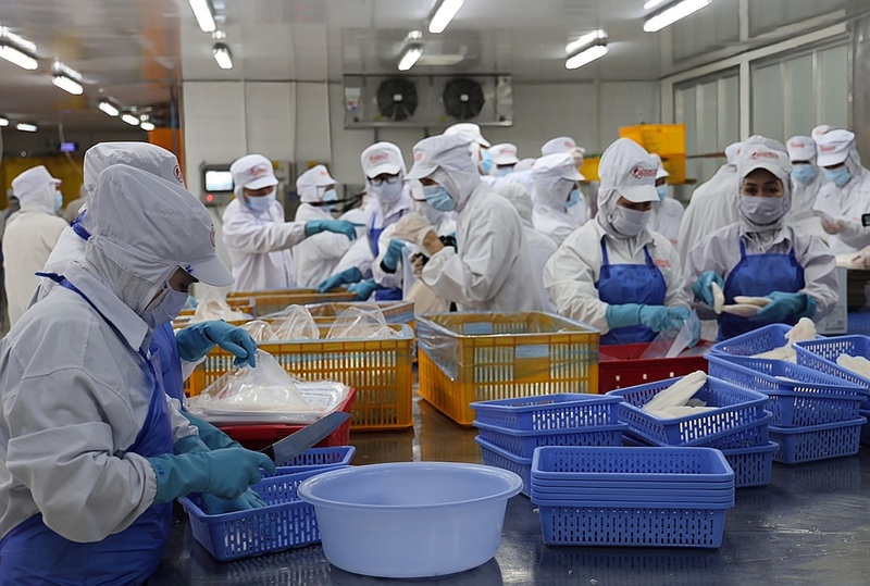 Trong tháng 10/2025 sản xuất công nghiệp của tỉnh Đồng Tháp tăng trưởng gần 15% so với cùng kỳ năm trước. Ảnh: Minh Khuê.