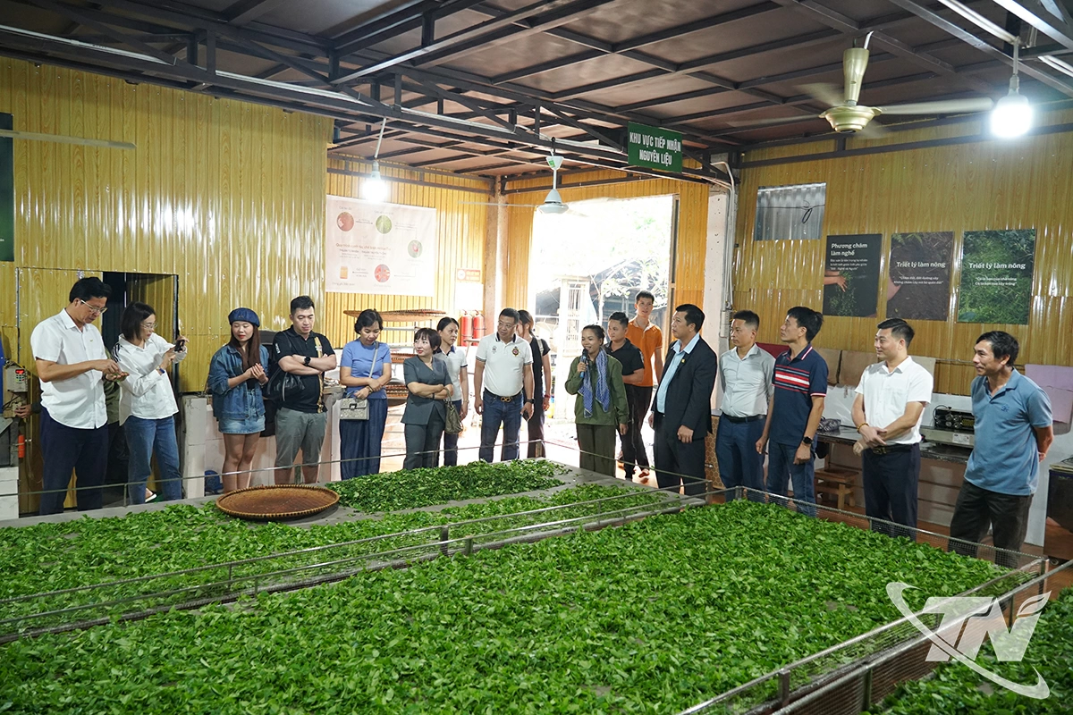 Những nội dung trong các cuộc trao đổi của các thành viên CLB là kinh nghiệm quý cho những người đang kinh doanh.