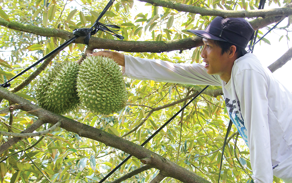 Đổi mới tư duy để thực hiện chuyển đổi xanh
